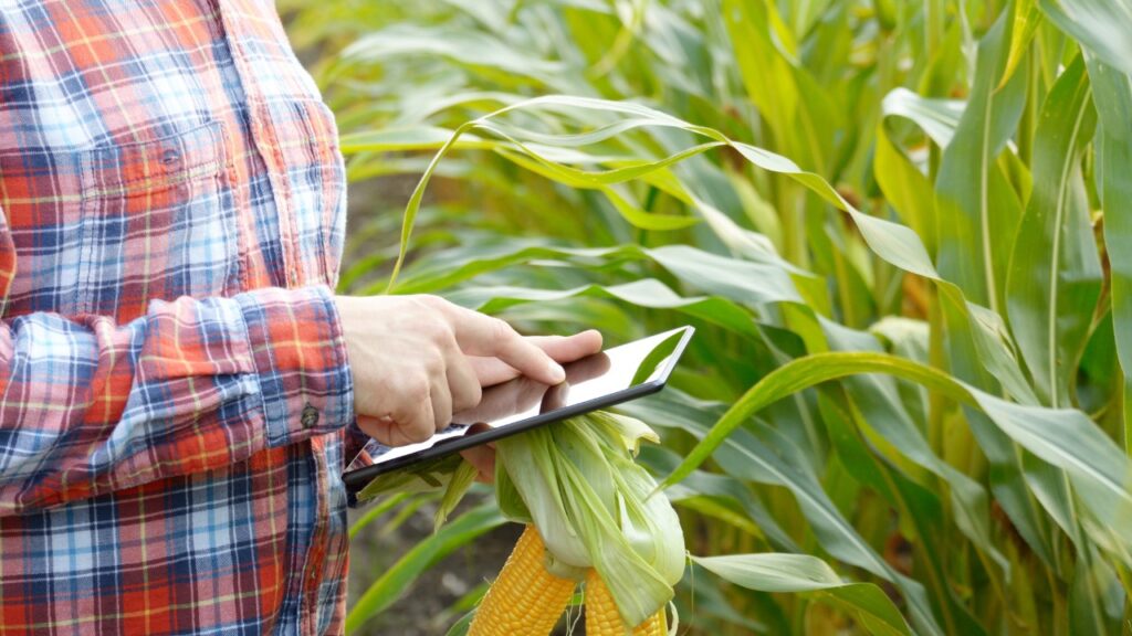 Farmer using IoT technology to check status of equipment and crops